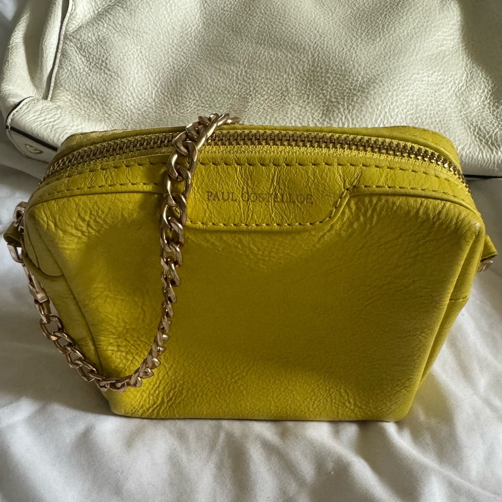 Paul Costelloe Mini Leather Bag/Pouch